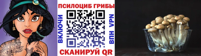 где найти наркотики  Барабинск  Галлюциногенные грибы GOLDEN TEACHER 